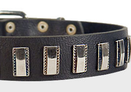 Ornament Dog Collar made of leather for Cane Corso